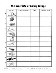 Cool australia's curriculum team continually reviews and refines our. Classification Of Living Things Worksheets Google Search Worksheet Template Worksheets Persuasive Writing Prompts