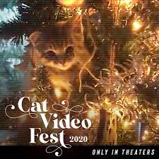 Many of these festivals include appearances by special guests and celebricats (such as grumpy cat and the creator of nyan cat), live music, costume contests, art projects. Catvideofest Catvideofest Twitter