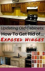 Easily upgrade your cabinets with these adjustable, concealed cabinet hinges, also know as european cabinet hinges. Cabinet Refacing Or New Cabinets Cabinets And Cabinetdoors Bathroomcabinetrefaci Replacing Kitchen Cabinets Update Kitchen Cabinets Kitchen Cabinets Hinges