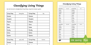 K5 learning offers free worksheets and inexpensive workbooks for kids in kindergarten to grade 5. Classifying Living Things Worksheet Teacher Made