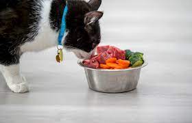 Unfortunately, giving cats spicy foods can potentially make them seriously ill. Which Table Foods Can Cats Eat Lovetoknow