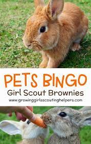 Learn how to choose the pet that's right for you—or find out how to take the best care of a pet you already have. Pets Bingo Girl Scout Brownies Pets Activity Pack Steps 1 3 Brownie Girl Scouts Girl Scouts Girl Scout Brownie Badges