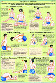 Anatomy Padmasana Google Search Pranayama Yoga Yoga Chart Pranayam