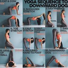 Yoga Sequence To Downward Dog Down Dog Is A Whole Body Kinda Pose Head To Toe Everything Must Be Strong But Also Flexible It T Yoga Sequences Yoga Moves Yoga