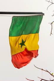Le Drapeau De La Republique Du Senegal Est Compose De Trois Bandes Verte Or Rouge Verticales Et Egales Une Etoile Verte Tour Du Monde Drapeau Etoile Verte