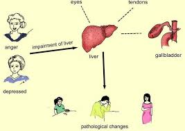 Headaches Pms Hormone Imbalance Why Chinese Medicine S Liver Qi Stagnation Is A Nationwide Problem Hormonal Headaches Hormone Imbalance Chinese Medicine
