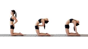 Camel2 Yoga Poses Beginner Poses Yoga Postures