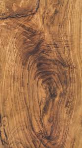 Olive Wood Slab Texture Background Light Wood Texture Wood Slab Old Wood Texture
