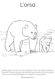 Disegni Di Animali Che Vanno In Letargo Da Colorare Disegnare Animali Disegni Di Uccelli Animali