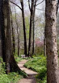 Cincinnati Nature Center Rowe Woods Nature Center Milford Place To Shoot