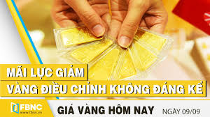 Gia Vang Hom Nay 9 9 2020 Mai Lực Giảm Vang điều Chỉnh Khong đang Kể Fbnc Youtube