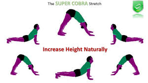 How To Grow Tall Increase Height Exercise Super Cobra Stretch Increase Height Exercise How To Grow Taller Increase Height