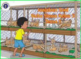 Jawaban Soal Tema 1 Kelas 5 Halaman 11 12 13 14 15 17 Buku Kunci Berkelas