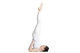 Pin On Yoga Long Live