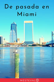 El Peor Viaje De Mi Vida En Miami Sin Hospedaje Ni Bus Miami Viajar A Estados Unidos Viajes