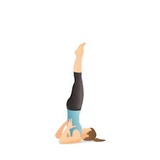 Yoga Pose Supported Shoulder Stand Ioga Fisicos Fisio