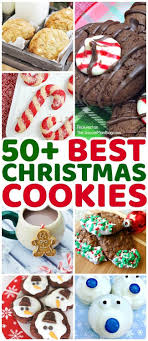 Bloggers Best Christmas Cookies Recipe Collection Cookies Recipes Christmas Best Christmas Cookie Recipe Best Christmas Cookies