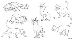 Kuvahaun Tulos Haulle Drawing Pose Animal Animais