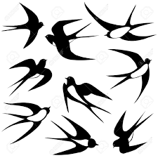 Tatuajes Golondrinas Silueta Buscar Con Google Silhouette Di Animali Disegni Di Uccelli Sagoma Di Uccello