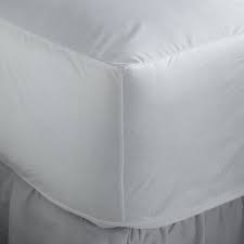 Allerease Bed Bug Allergy Mattress Cover White Sears Bedding Mattress Covers Mattress