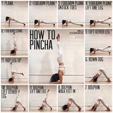 Working Of Forearm Stand This Tutorial By Is The Best We Have Ever Seen On It Follow The Numbers And Stop A Yoga Handstand Yoga Techniques Easy Yoga Workouts