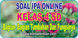 Soal Online Ipa Kelas 4 Sd Bab 2 Bagian Bagian Tumbuhan Dan Fungsinya Langsung Ada Nilainya Bimbel Brilian