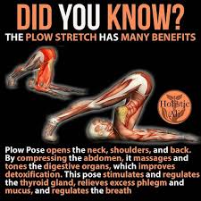 Plow Stretch Yourfunctionalbody 1 Begin By Lying Flat On Your Back With Your Legs Extended And Your Arms At Yoga Benefits Yoga Postures Easy Yoga Workouts