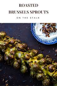 Roasted Brussels Sprouts On The Stalk Roasted Brussel Sprouts Brussel Sprout Recipes Roasted Brussel Sprouts