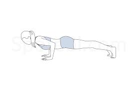 Low Plank Pose Chaturanga Dandasana Chaturanga Dandasana Plank Pose Workout Guide