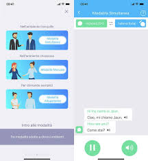 La traduzione richiede una connessione internet; Traduttore Simultaneo Salvatore Aranzulla