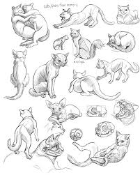 Schoolism Gesture Drawing Week 5 Chalk Full Of Dreams Cat Drawing Tutorial Gesture Drawing Cat Drawing