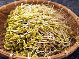 Itulah materi cara membuat tulisan atau gambar berjalan di html menggunakan tag marquee. Cara Membuat Tauge Dari Kacang Kedelai Untuk Pemula Dilengkapi Gambar Arafuru