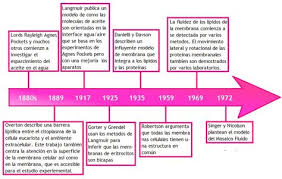 Resultado De Imagen Para Linea Del Tiempo De La Celula Hasta La Actualidad Event Periodic Table