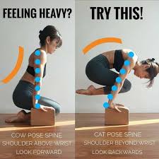 Crow Pose Yoga Asanas Yoga Crow Pose How To Do Yoga
