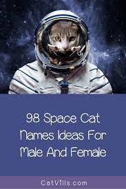 98 Space Cat Names Cat Names Space Cat Cats