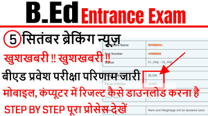 Bed Entrance Exam Result 2020 Mobile Mei Result Kaise Dekhe Bed Entrance Exam 2020 Youtube