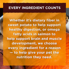 Nature S Recipe Grain Free Easy To Digest Dry Dog Food Click Image To Review More Details It Is An Affili In 2020 Dry Dog Food Best Organic Dog Food Free Dog Food