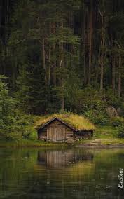 6645834 0ed94 Gif 312 500 Rustic House Grass Roof House Boat