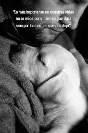 Pin En Amigos