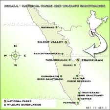 Kerala Wildlife Sanctuaries And National Parks Kerala Sanctuaries Kerala National Parks We went for a jungle trek through the wildlife sanctuary. kerala wildlife sanctuaries and