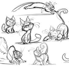 Wendy Grieb On Instagram Cats Cats Characterdesign Cute Expressions Animation Animals Wendy Gr Animal Sketches Animal Drawings Cartoon Cat Drawing