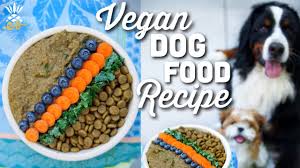 Animal products are often in vegan dog foods. What We Feed Our Dog Homemade Vegan Dog Food Recipe Youtube