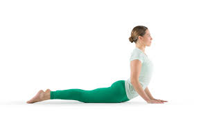 Cobra Pose Yoga Poses Cool Yoga Poses Back Exercises