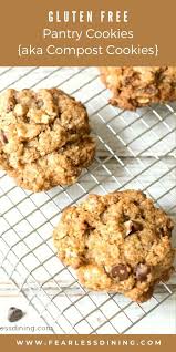 Easy Pantry Cookies Compost Cookies Recipe Guilt Free Cookie Gluten Free Sweets