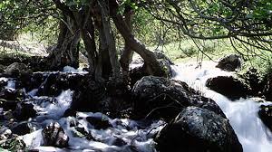 El Nacimiento De Riofrio Ya Es Monumento Natural De Andalucia Ahora Granada