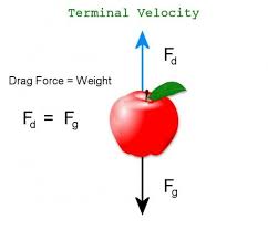 Terminal Velocity Of A Human Free Fall And Drag Force Terminal Velocity Velocity High School Science