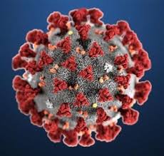 Cuanto Dura El Nuevo Coronavirus En El Carton El Acero Y El Plastico Tecnicas Para Protegerse De La Covid 19 Granma Organo Oficial Del Pcc