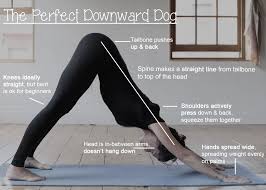 Yoga Basics Basic Yoga Downward Dog Yoga Yoga Benefits