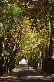 Fotos De Carmelo Fotos Y Paisajes De La Ciudad De Carmelo Paisajes Vacaciones En Uruguay Mapa De Uruguay