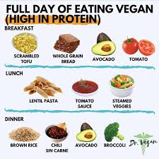 Dr Vegan On Instagram Full Day Of Eating Vegan High In Protein Note These Meals Are Just Examples Vegan Recipes Healthy Vegan Meal Plans Vegan Eating